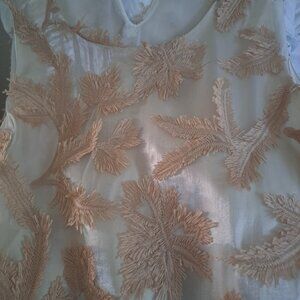 Zara applique Balloon top RARE